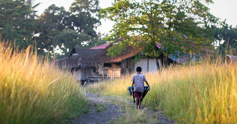Young boy walking in a forest pushing a wheelbarrow