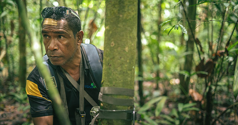 Male exploring in a jungle 