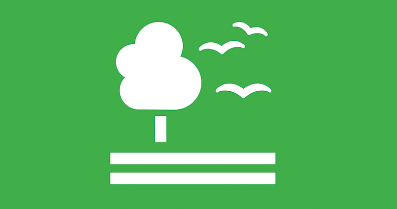 Tree surrounded by birds icon on a green background